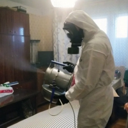 Дезинфекция от клопов в Бородино