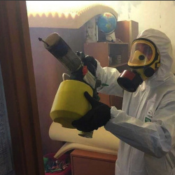 Уничтожение клопов в квартире. Бородино